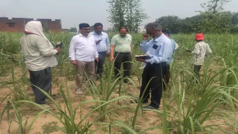 Kushinagar News