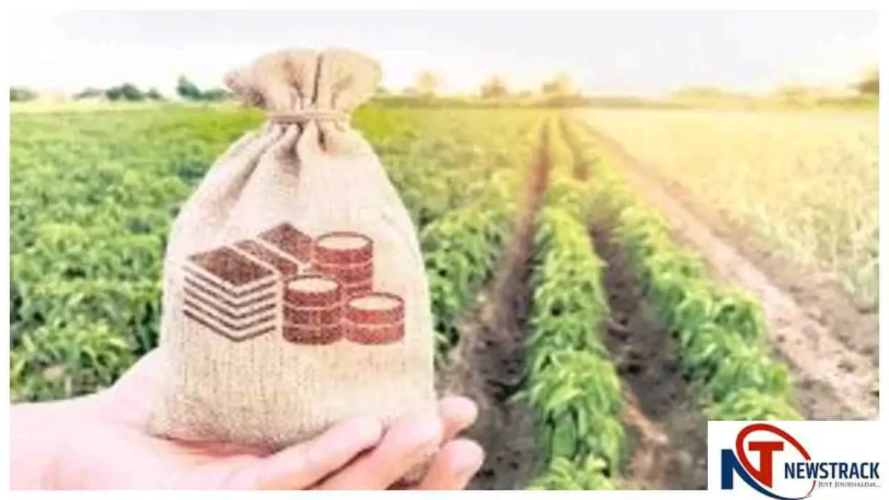 PM Fasal Bima Yojana : मध्य प्रदेश में अगले पांच वर्षों के लिए फसल बीमा योजना को मंजूरी PM Fasal Bima Yojana : मध्य प्रदेश में अगले पांच वर्षों के लिए फसल बीमा योजना को मंजूरी