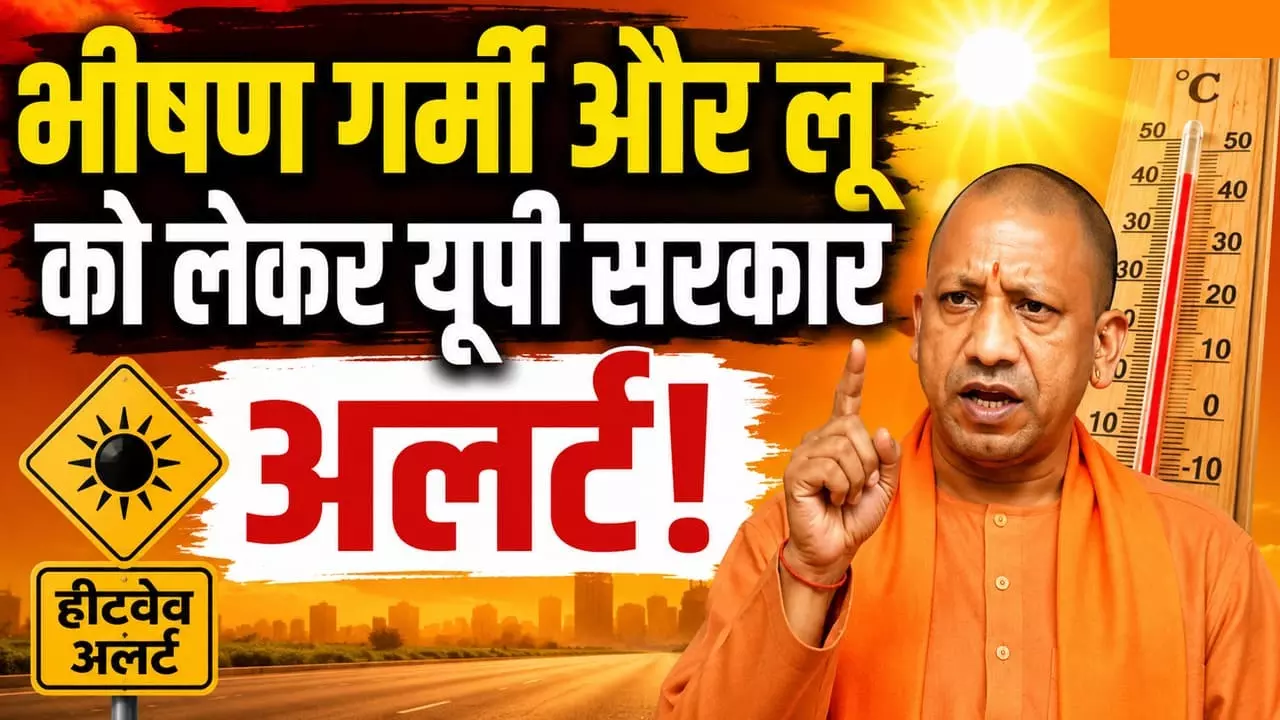 UP News