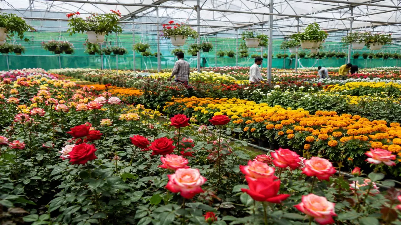 Ayodhya Flower Center Ayodhya Flower Center