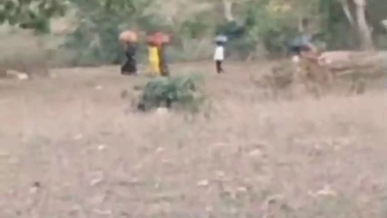 Chandauli News: यूपी से बिहार भेजी जा रही तेंदू पत्ती,वन विभाग की लापरवाही से सरकार को लाखों का चूना
