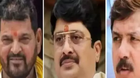UP Bahubali Arms License UP Bahubali Arms License