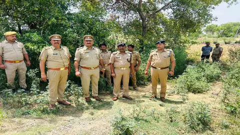 Etawah News Etawah News
