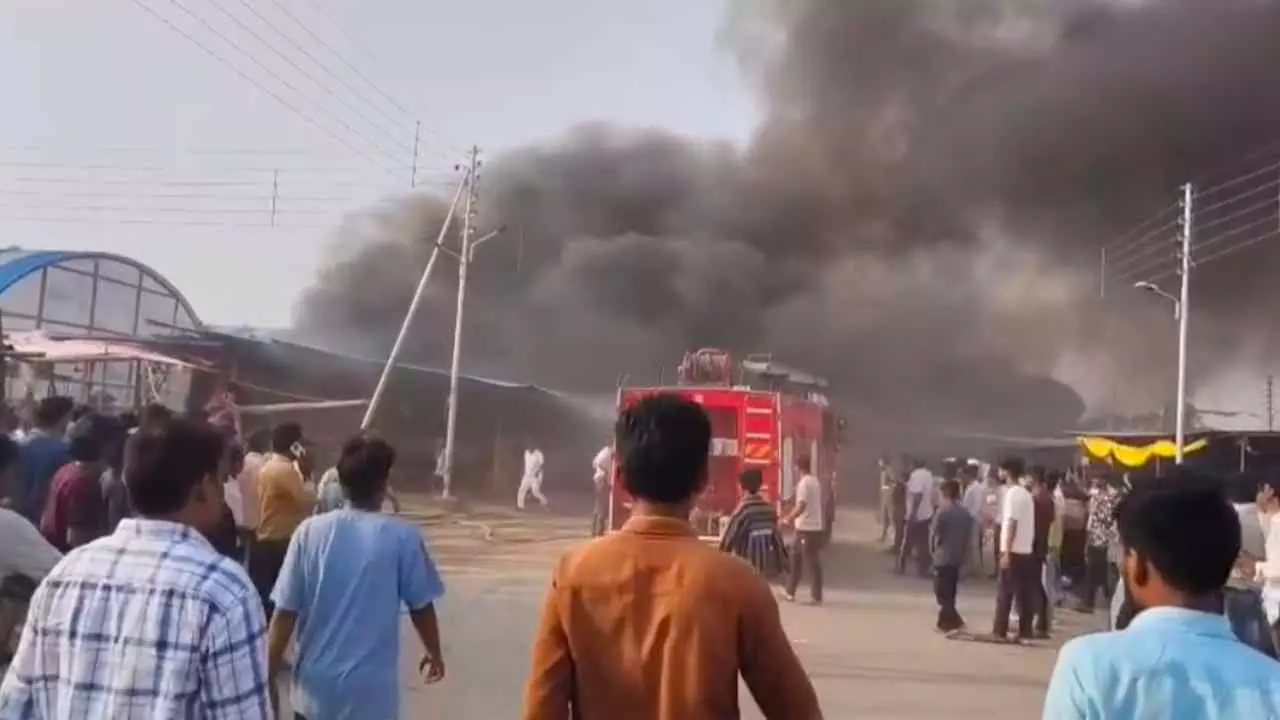 Siddharthnagar News: नवीन मंडी शाहपुर में लगी भीषण आग, आधा दर्जन आढ़त की दुकानें जलकर राख Siddharthnagar News: नवीन मंडी शाहपुर में लगी भीषण आग, आधा दर्जन आढ़त की दुकानें जलकर राख