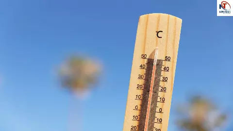 Heatwave Safety Tips Heatwave Safety Tips