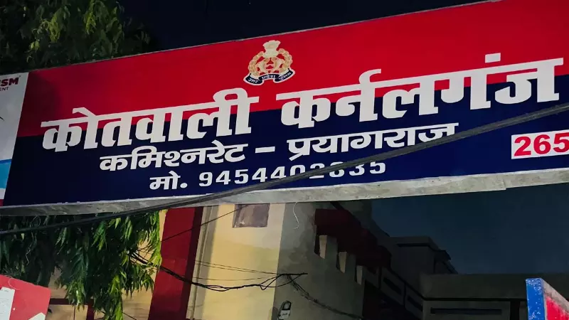 theft case theft case