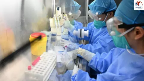 Hantavirus Spain