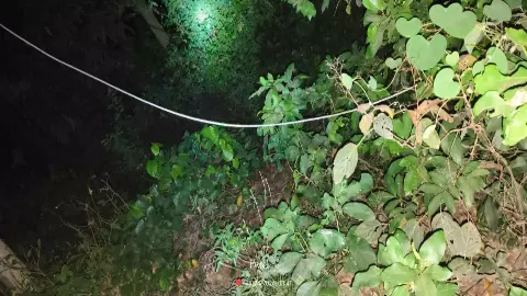 Lakhimpur Kheri News