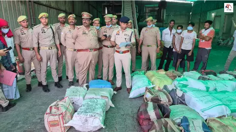 Mainpuri News: ऑपरेशन दहन से नशा माफियाओं पर करारा वार, मैनपुरी में 1545 किलो नशीले पदार्थ नष्ट
