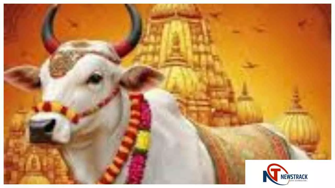 Raebareli संभल से देवघर: गौ माता को राष्ट्रमाता घोषित कराने के संकल्प के साथ पैदल निकले भूरा यादव