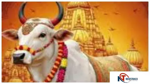 Raebareli संभल से देवघर: गौ माता को राष्ट्रमाता घोषित कराने के संकल्प के साथ पैदल निकले भूरा यादव