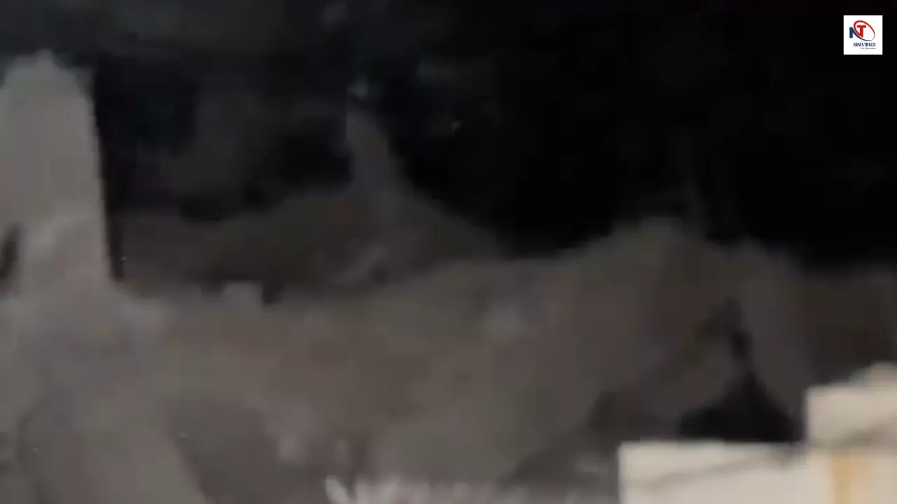 Mehrauli Building Collapse: दिल्ली के महरौली में इमारत गिरने से अफरा-तफरी, कई लोगों के फंसे होने का आशंका
