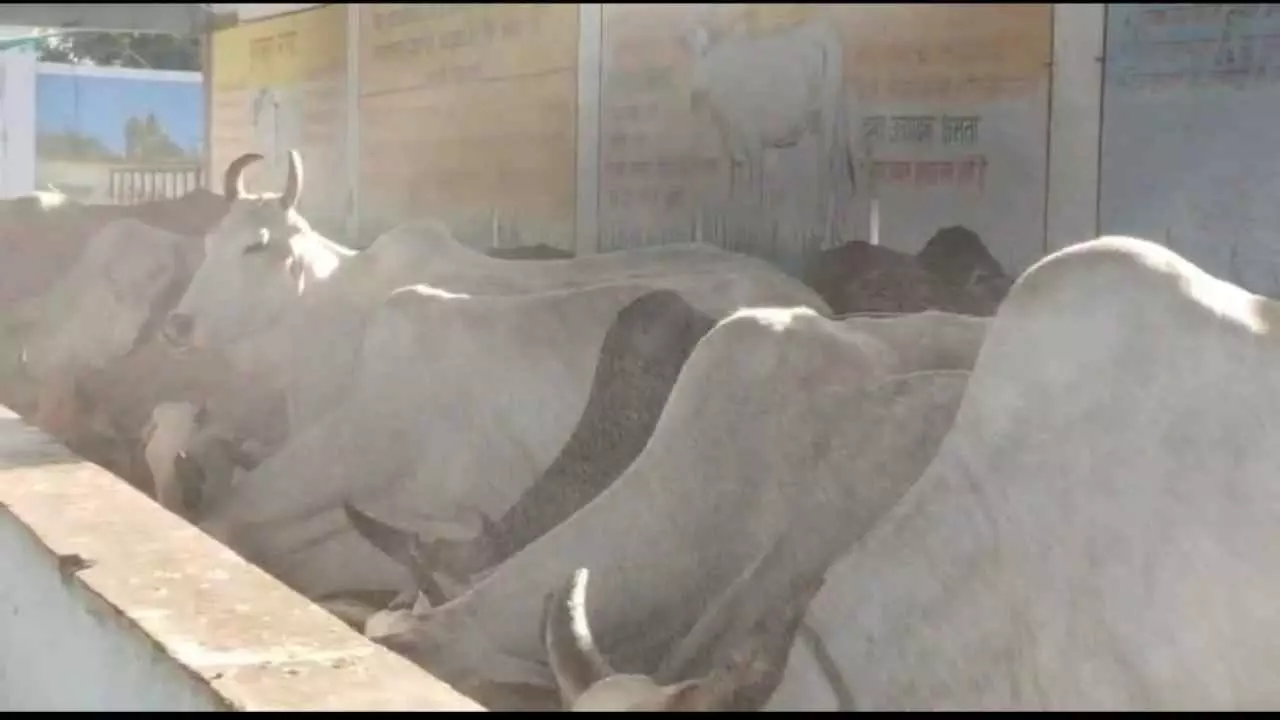 Jhansi News