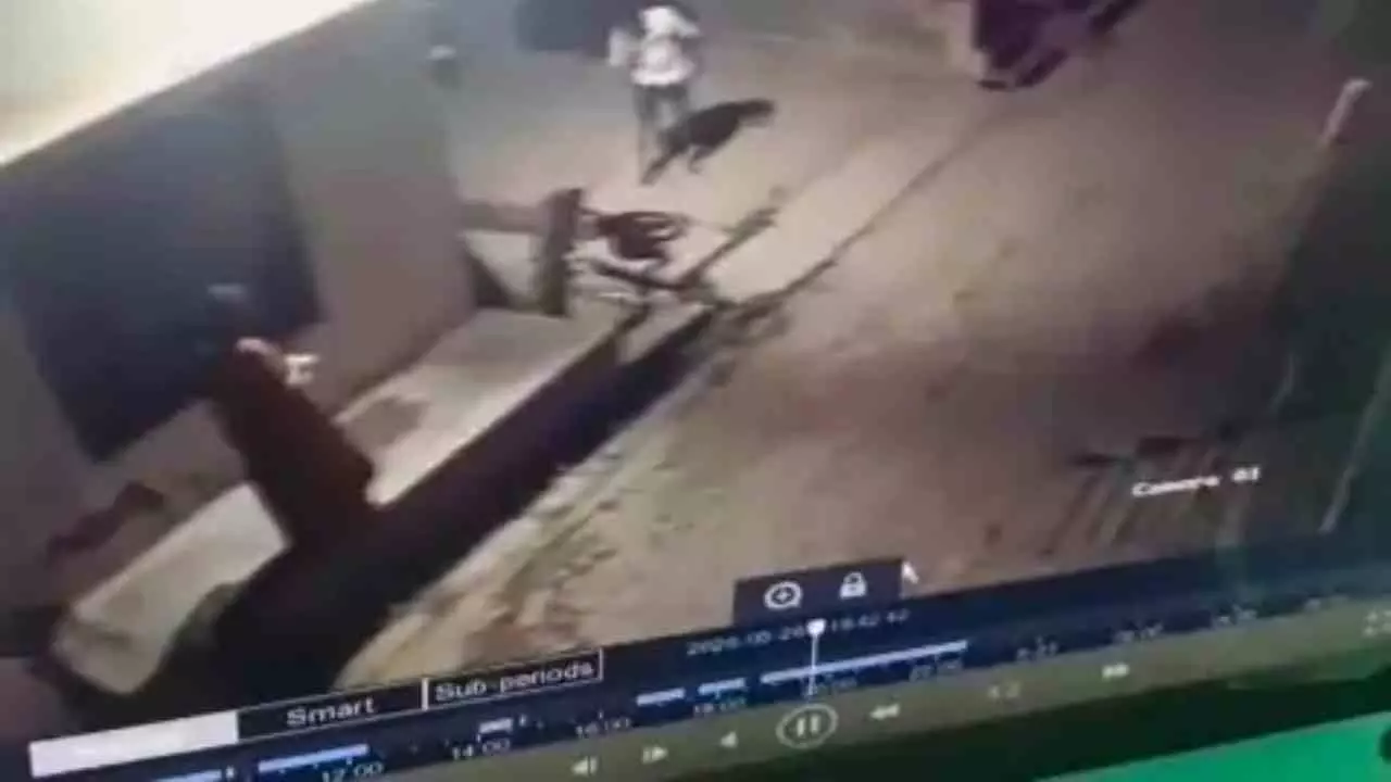 Lucknow News: कुत्ते को पीट-पीटकर मारने के मामले में बड़ा एक्शन, पशु संरक्षण संस्थाओं की शिकायत पर आरोपी गिरफ्तार