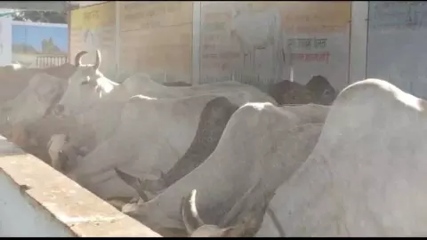 Jhansi News