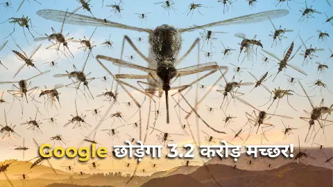 google mosquito experiment 2026 32 million mosquitoes california florida