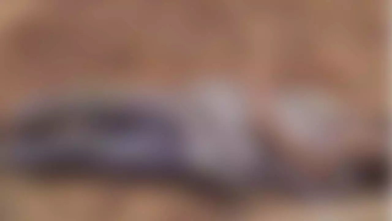 Body of 9-year-old girl found in Mirzapur forest, five teams formed for investigation