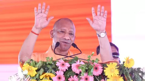 Yogi Government Development
