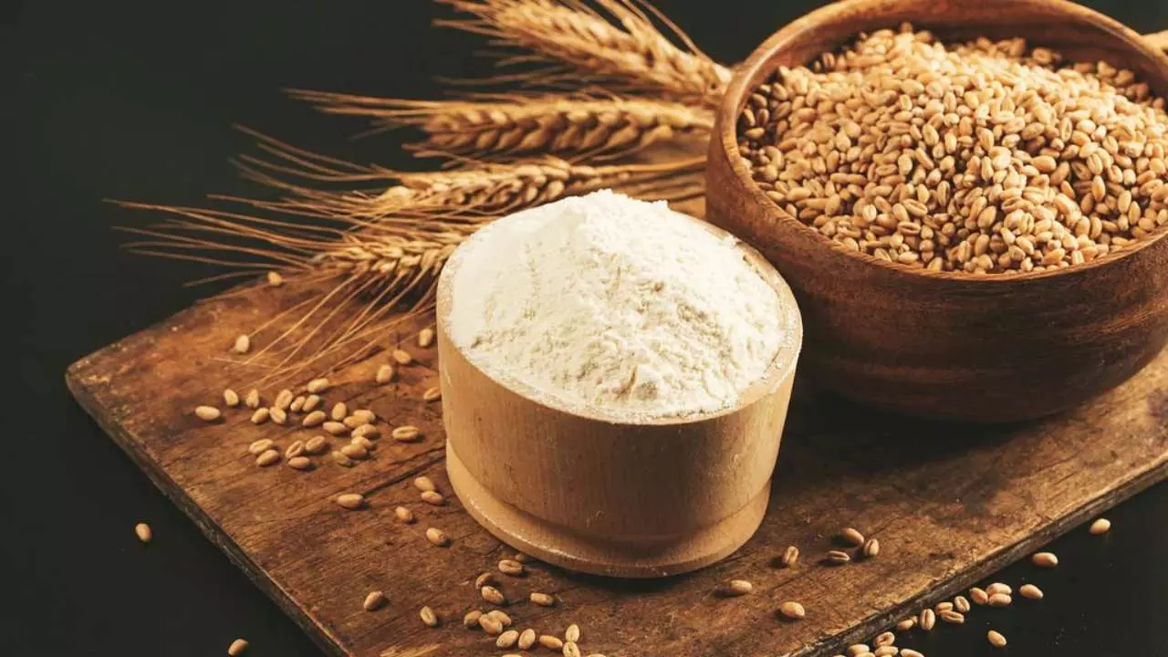 khapli atta ke fayde 2026 harappan superfood emmer wheat demand rises diabetes patients khapli atta ke fayde 2026 harappan superfood emmer wheat demand rises diabetes patients
