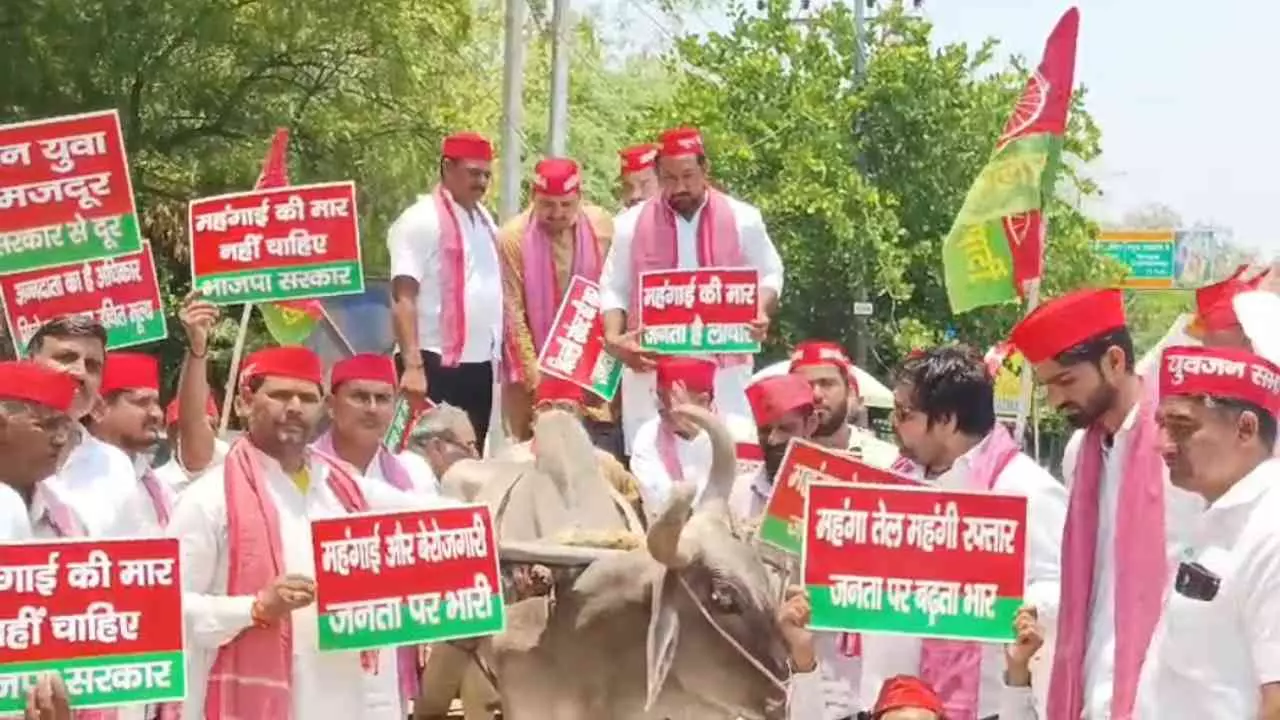 Mathura News: मथुरा में महंगाई, बेरोजगारी और किसानों की समस्याओं पर सपा का जोरदार प्रदर्शन Mathura News: मथुरा में महंगाई, बेरोजगारी और किसानों की समस्याओं पर सपा का जोरदार प्रदर्शन