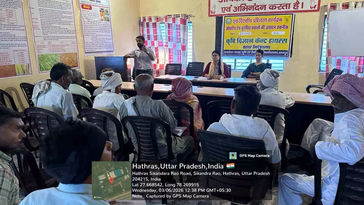 Hathras News: कृषि विज्ञान केन्द्र में औषधीय एवं सुगन्धित फसलों की खेती पर कृषक प्रशिक्षण संपन्न Hathras News: कृषि विज्ञान केन्द्र में औषधीय एवं सुगन्धित फसलों की खेती पर कृषक प्रशिक्षण संपन्न