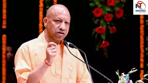 Yogi Government Yogi Government