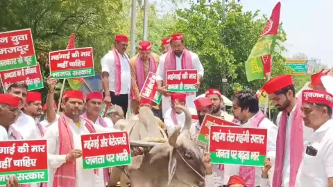 Mathura News: मथुरा में महंगाई, बेरोजगारी और किसानों की समस्याओं पर सपा का जोरदार प्रदर्शन