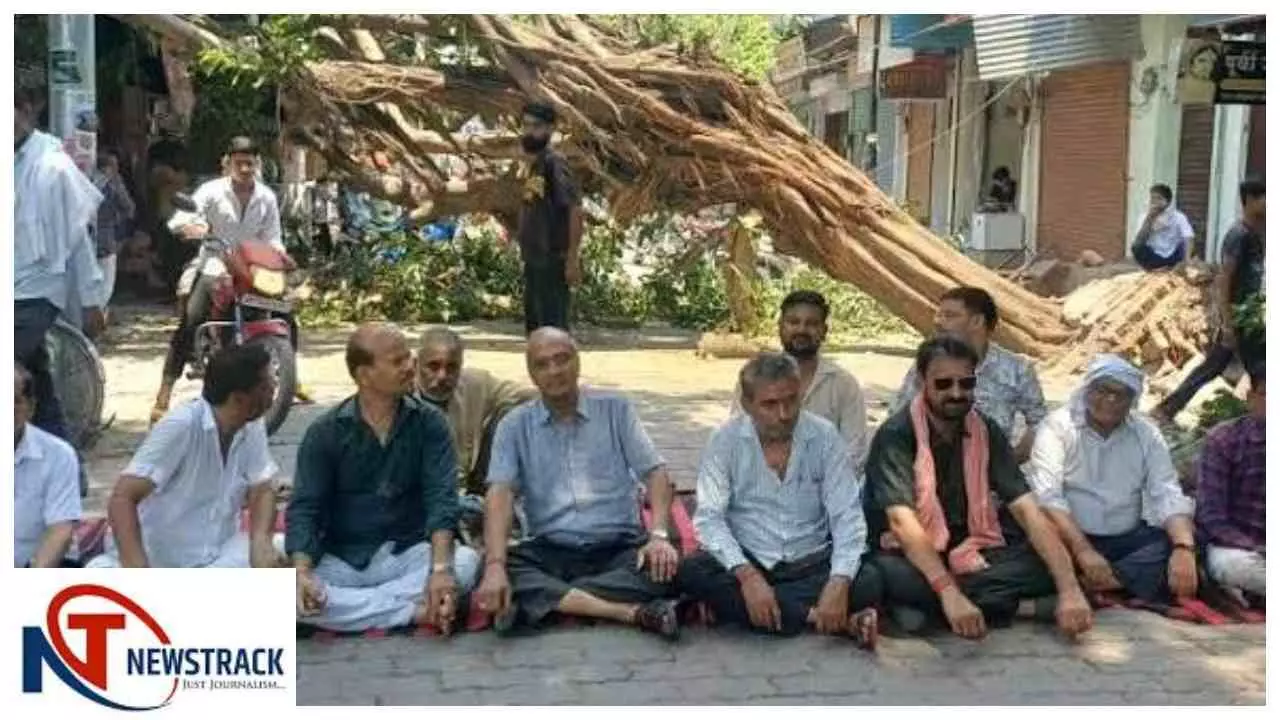 Auraiya News: औरैया सदर बाजार में पेड़ गिरने से बिजली ठप, व्यापारियों में प्रशासन के खिलाफ रोष