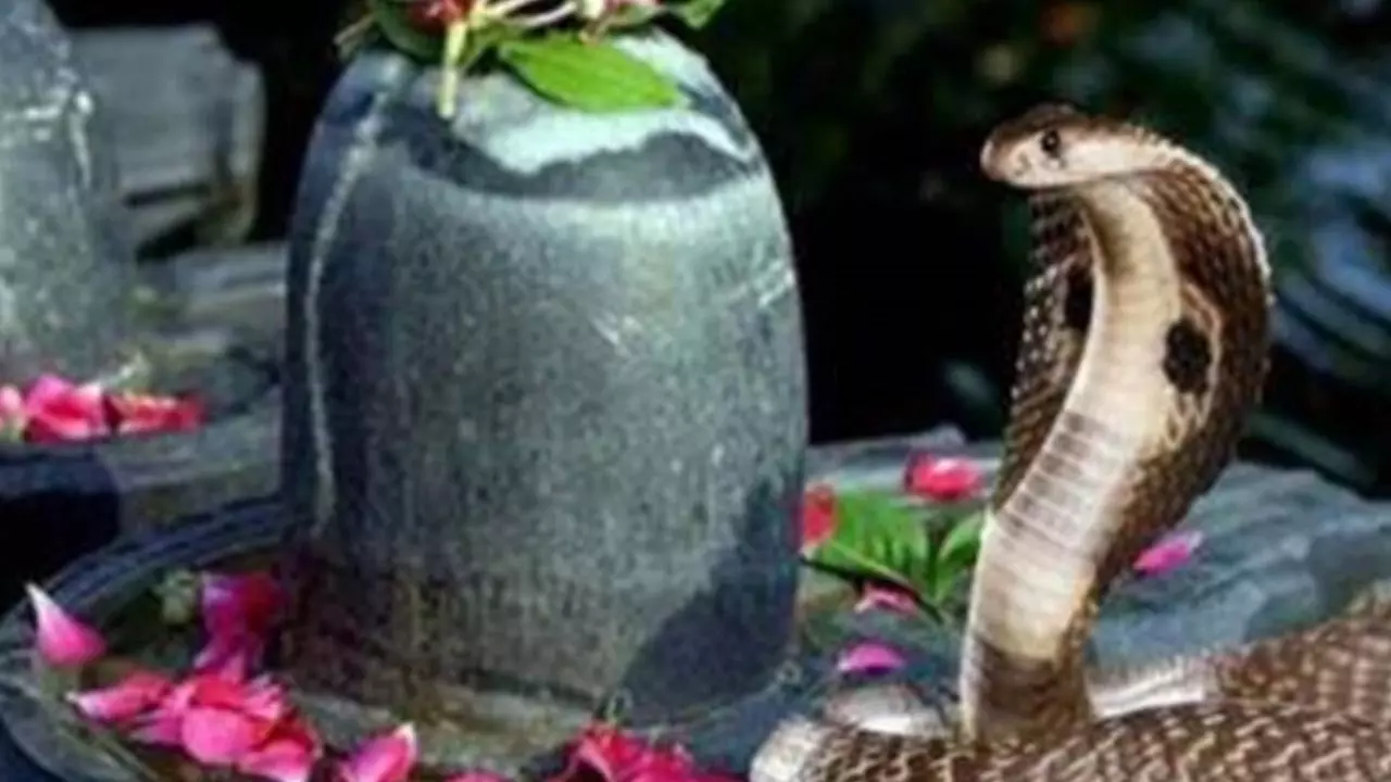 Nag Panchami Special 2026 and Snake Festivals Around The World India To Italy Unique Snake Traditions 2026