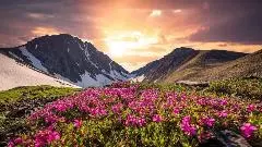 Valley of Flowers 2026: वैली ऑफ फ्लावर्स 2026 की शुरुआत, जानें खर्च से लेकर रूट तक सबकुछ