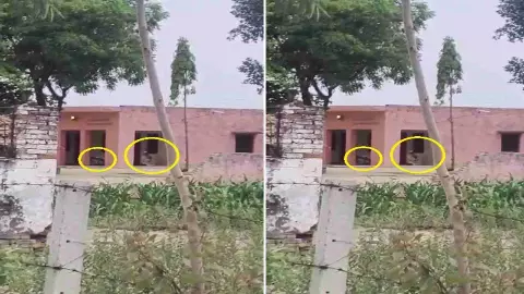 Bulandshahr Temple Namaz Video
