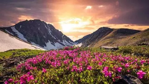 Valley of Flowers 2026: वैली ऑफ फ्लावर्स 2026 की शुरुआत, जानें खर्च से लेकर रूट तक सबकुछ