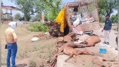 Mahoba News