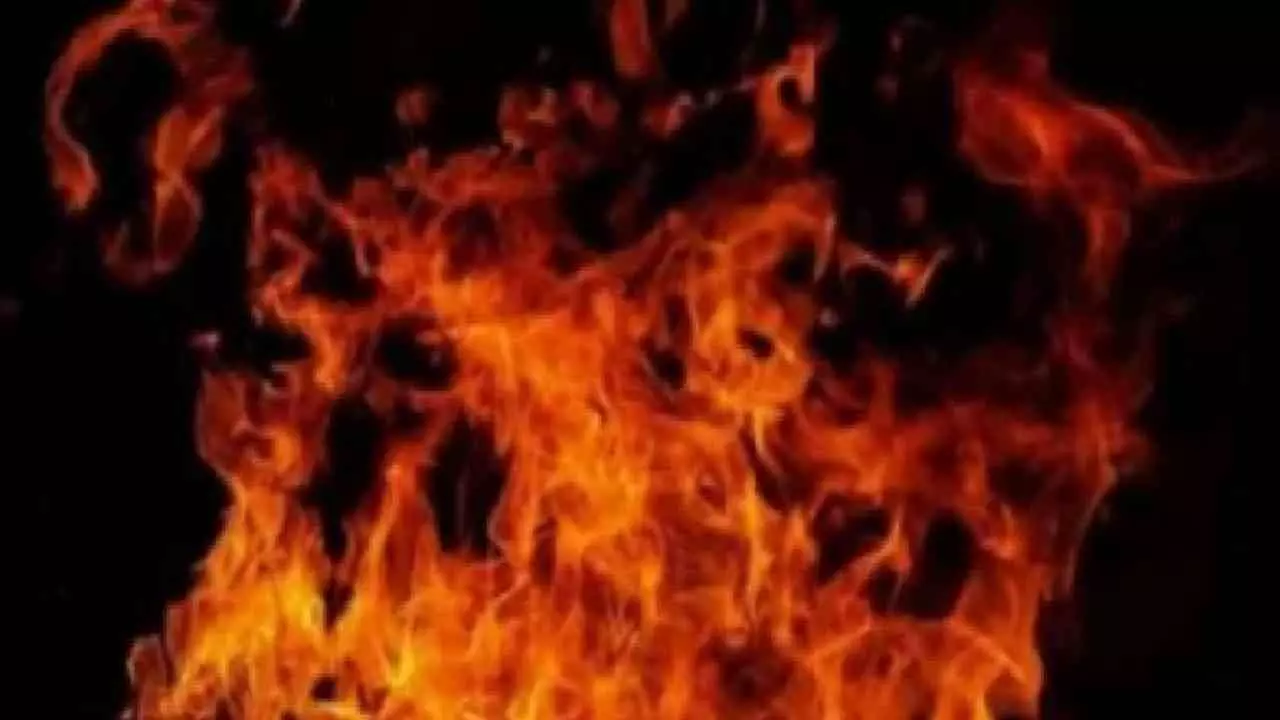 UP Fire UP Fire