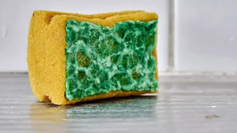 Kitchen sponge releasing microplastic particles according to new research Kitchen sponge releasing microplastic particles according to new research