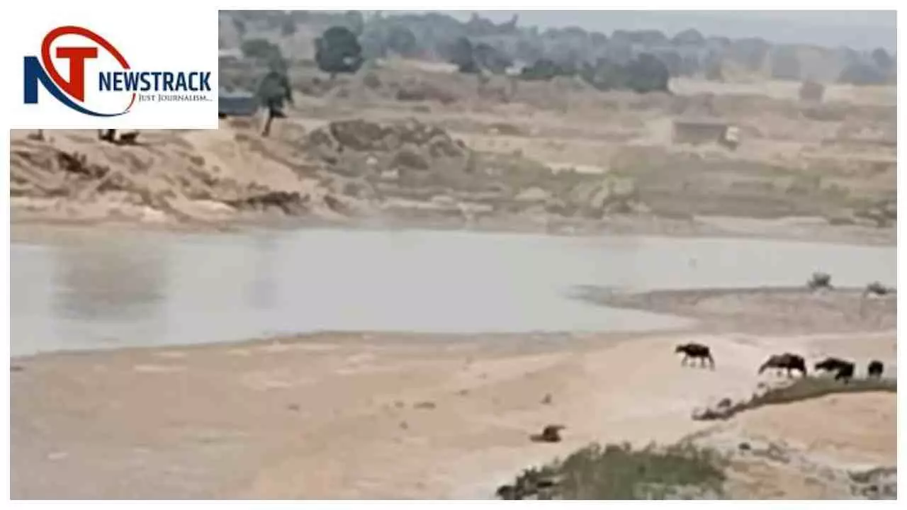 Sonbhadra Sand Mining Scam: सोनभद्र में बालू सिंडिकेट का आरोप, रेणुका नदी खनन मामले की जांच तेज Sonbhadra Sand Mining Scam: सोनभद्र में बालू सिंडिकेट का आरोप, रेणुका नदी खनन मामले की जांच तेज