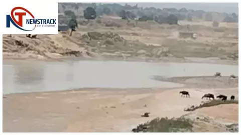 Sonbhadra Sand Mining Scam: सोनभद्र में बालू सिंडिकेट का आरोप, रेणुका नदी खनन मामले की जांच तेज