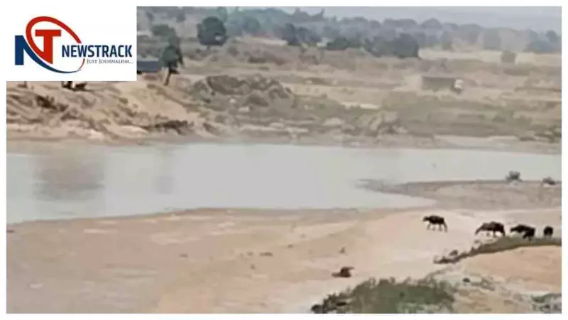Sonbhadra Sand Mining Scam: सोनभद्र में बालू सिंडिकेट का आरोप, रेणुका नदी खनन मामले की जांच तेज