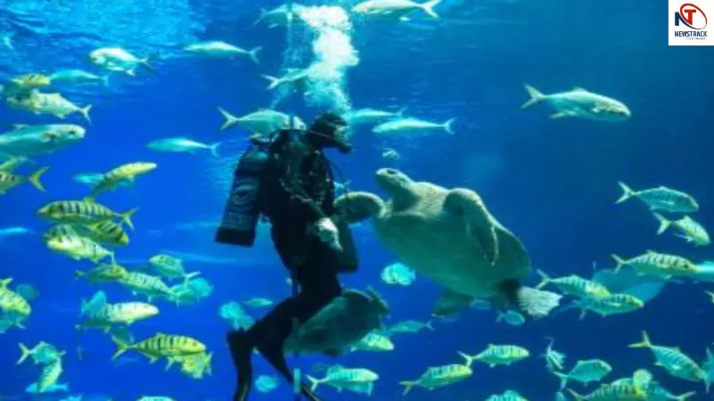 World Oceans Day 2026