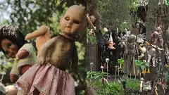 Mexico Doll Island ka Rahasya 2026 Island of the Dolls Mexico thousands of broken dolls hanging on trees mystery island Mexico Doll Island ka Rahasya 2026 Island of the Dolls Mexico thousands of broken dolls hanging on trees mystery island