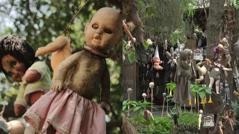 Mexico Doll Island ka Rahasya 2026 Island of the Dolls Mexico thousands of broken dolls hanging on trees mystery island