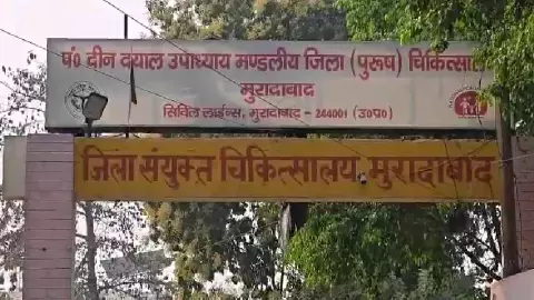 Moradabad News