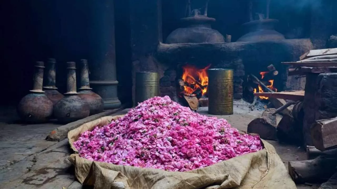 Kannauj Perfume Park 2026: UP का यह शहर बनेगा ग्लोबल फ्रेगरेंस हब, तेजी से चल रहा है मेगा प्रोजेक्ट Kannauj Perfume Park 2026: UP का यह शहर बनेगा ग्लोबल फ्रेगरेंस हब, तेजी से चल रहा है मेगा प्रोजेक्ट
