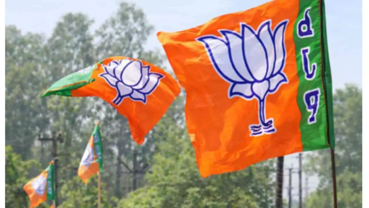 bjp rajyasabha result