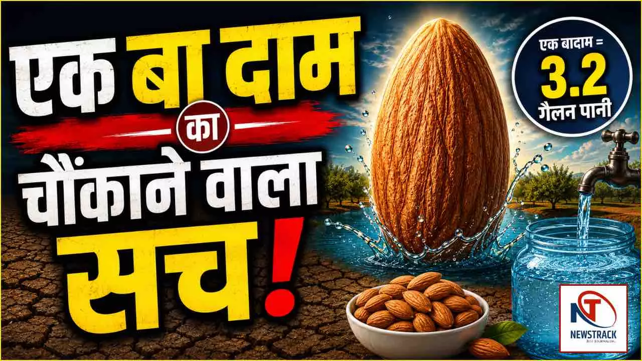 Badam Ki Kheti Me Kitna Pani Lagta Hai Badam Ki Kheti Me Kitna Pani Lagta Hai