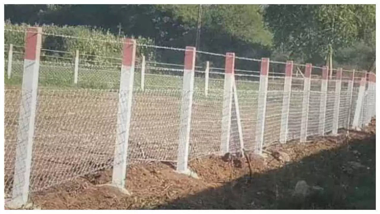 Government pays half-cost wire fencing for crop protection Government pays half-cost wire fencing for crop protection