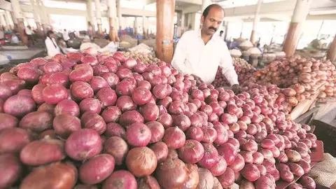 Onion Price Hike News 2026 government raises onion procurement rate market prices may rise Onion Price Hike News 2026 government raises onion procurement rate market prices may rise