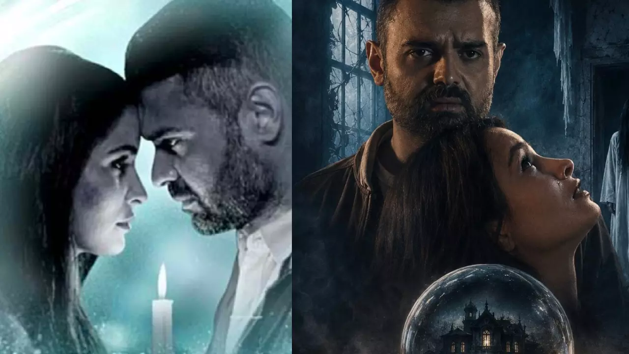 Haunted 3D Echoes Of The Past Box Office Collection Day 3