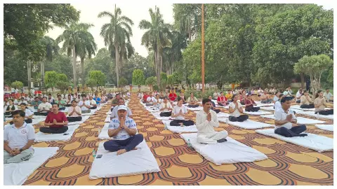 yoga program launched on the occasion of International Yoga Day