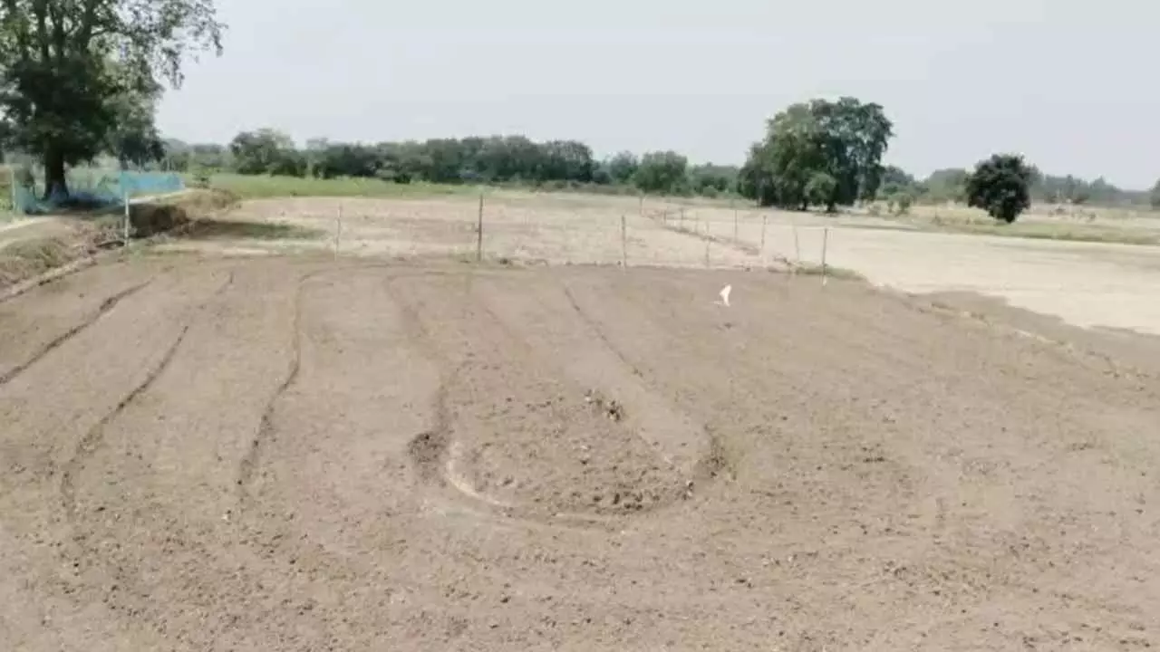 Raebareli News: डीजल कैप, खाद संकट और सूखी नहरों से परेशान रायबरेली के किसान, धान की खेती पर मंडराया Raebareli News: डीजल कैप, खाद संकट और सूखी नहरों से परेशान रायबरेली के किसान, धान की खेती पर मंडराया